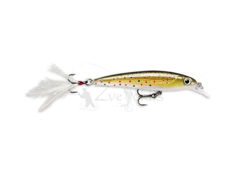 Vobleris Rapala X-Rap 10cm 13g