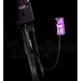 Svingas Delkim Nitelite Pro 2