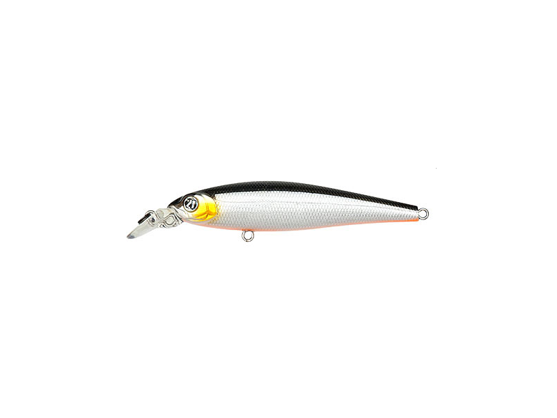 Vobleris Pontoon21 Saunda 80SP-SR