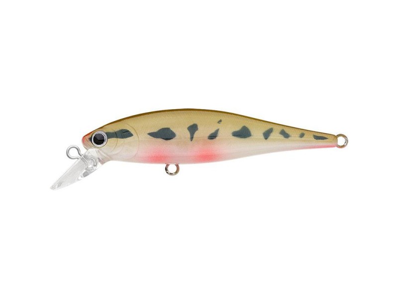 Vobleris Lucky Craft Pointer 100 DD