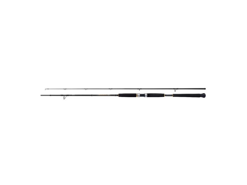 Spiningas Shimano Rod Beastmaster AX...