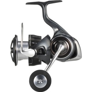 Ritė Daiwa '24 Luvias LT 5000D-CXH