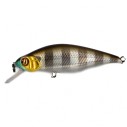 Vobleris Pontoon21 Chaos 72F-SR