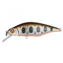 Vobleris Pontoon21 Chaos 72F-SR