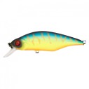 Vobleris Pontoon21 Chaos 72F-SR