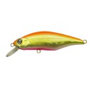 Vobleris Pontoon21 Chaos 72F-SR