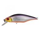 Vobleris Pontoon21 Chaos 72F-SR