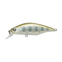 Vobleris Pontoon21 Chaos 72F-SR