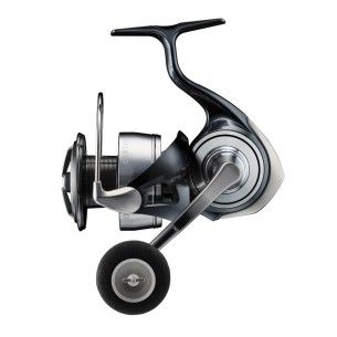 Ritė Daiwa '24 Certate LT5000D
