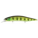 Vobleris DUO Realis Jerkbait 160SP