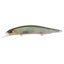 Vobleris DUO Realis Jerkbait 160SP