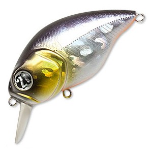 Vobleris Pontoon21 Taba Tao 50F-SR