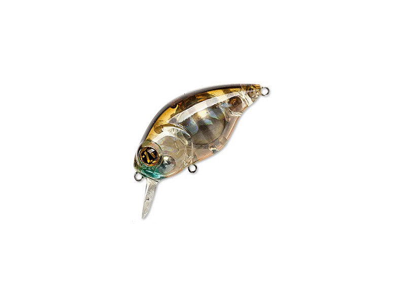 Vobleris Pontoon21 Taba Tao 50F-SR