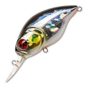 Vobleris Pontoon21 Taba Tao 50F-MDR