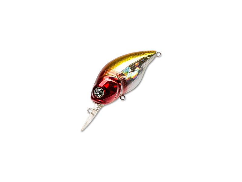 Vobleris Pontoon21 Taba Tao 50F-MDR
