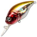 Vobleris Pontoon21 Taba Tao 50F-MDR