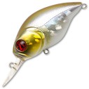 Vobleris Pontoon21 Taba Tao 50F-MDR