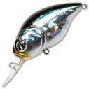 Vobleris Pontoon21 Taba Tao 50F-MDR