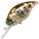 Vobleris Pontoon21 Taba Tao 50F-MDR