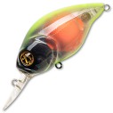Vobleris Pontoon21 Taba Tao 50F-MDR