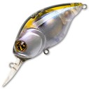 Vobleris Pontoon21 Taba Tao 50F-MDR