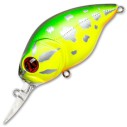 Vobleris Pontoon21 Taba Tao 50F-MDR