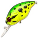Vobleris Pontoon21 Taba Tao 50F-MDR