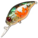 Vobleris Pontoon21 Taba Tao 50F-MDR