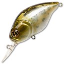 Vobleris Pontoon21 Taba Tao 50F-MDR