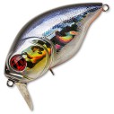 Vobleris Pontoon21 Taba Tao 50F-SSR