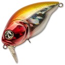 Vobleris Pontoon21 Taba Tao 50F-SSR