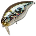 Vobleris Pontoon21 Taba Tao 50F-SSR