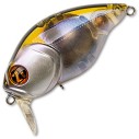 Vobleris Pontoon21 Taba Tao 50F-SSR