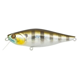 Vobleris Pontoon21 Kalikana 82SP-SR