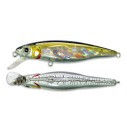 Vobleris Pontoon21 Greedy Guts 88SP-MDR