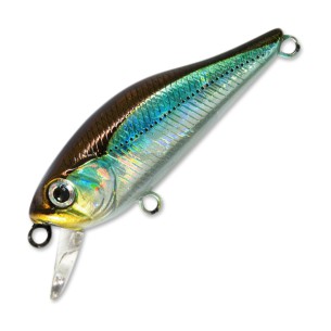 Vobleris Pontoon 21 Cheerful 34F-SR