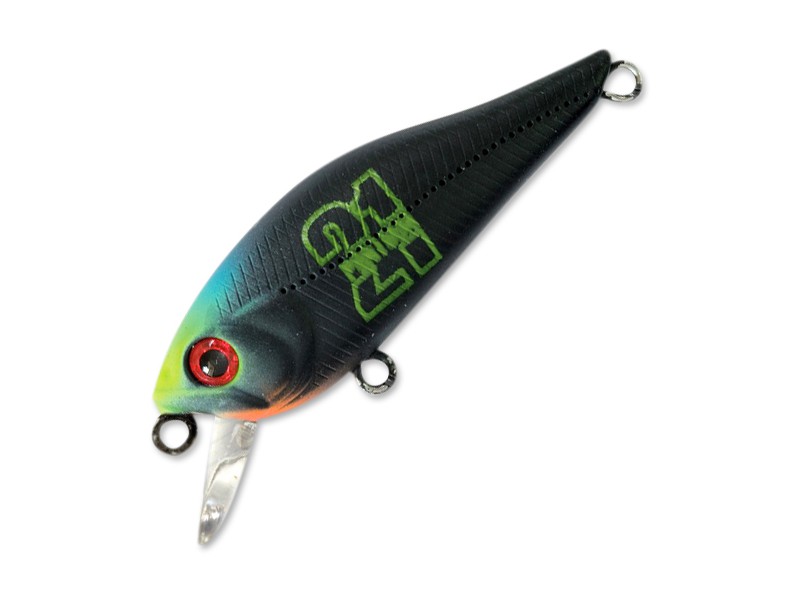 Vobleris Pontoon 21 Cheerful 34F-SR