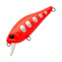 Vobleris Pontoon 21 Cheerful 34F-SR